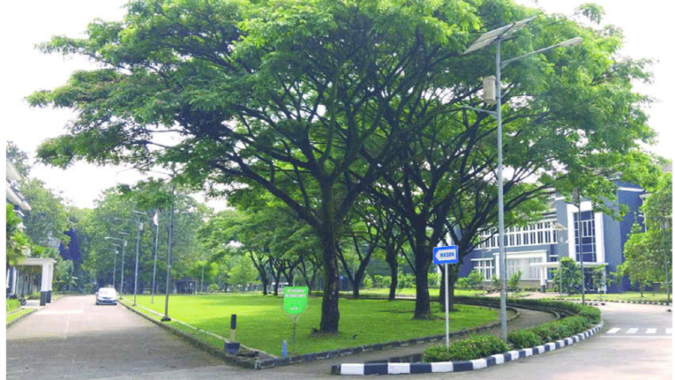 “CÂY XANH” cần được ” CHĂM SÓC”