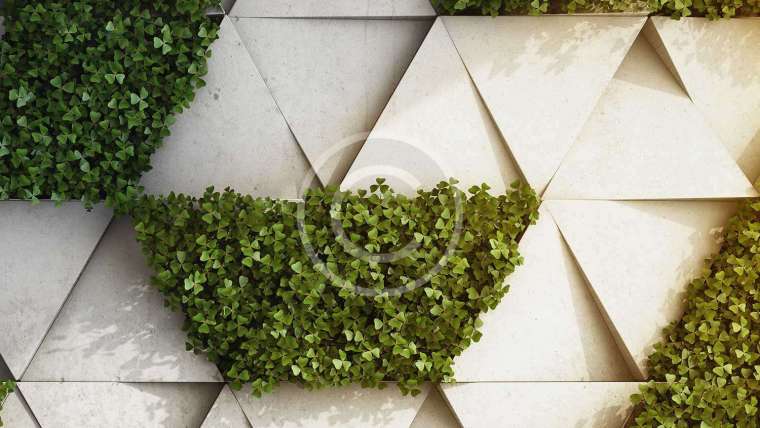 Nội thất cây xanh