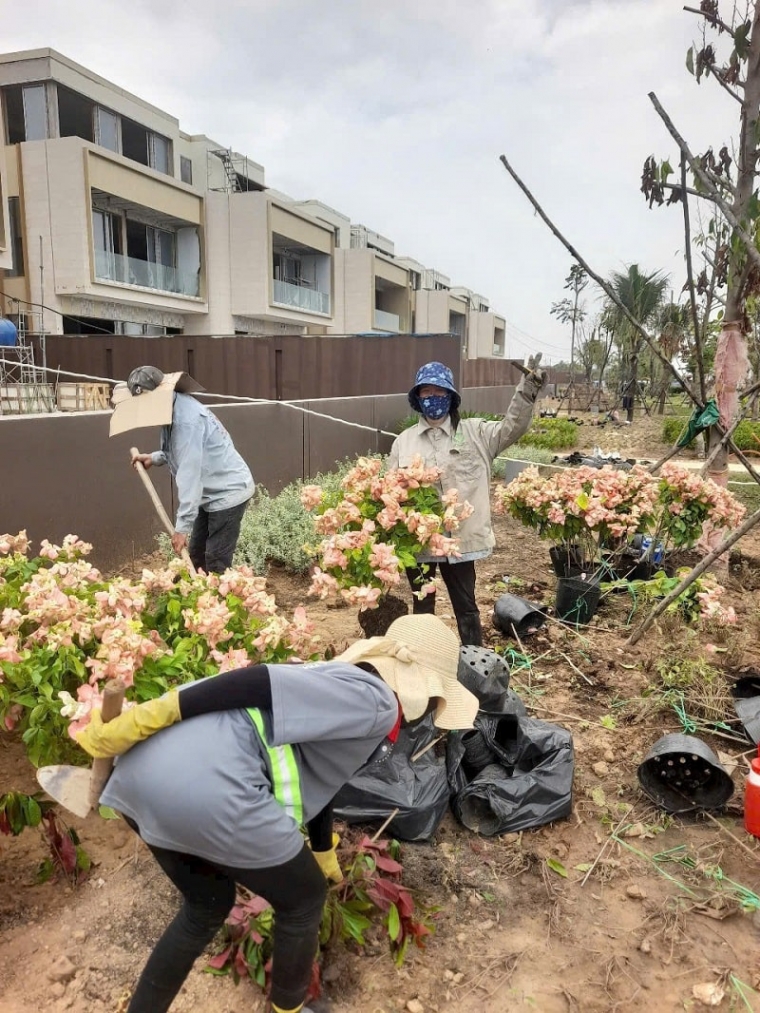 Dịch Vụ Thợ Làm Vườn Chuyên Nghiệp – Giải Pháp Hoàn Hảo Cho Khu Vườn Xanh Mát