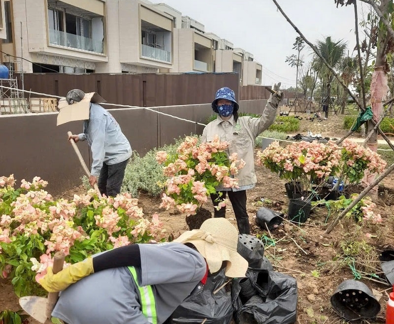 Dịch Vụ Thợ Làm Vườn Chuyên Nghiệp – Giải Pháp Hoàn Hảo Cho Khu Vườn Xanh Mát